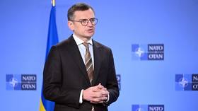 Ukraine to deny consular services to draft dodgers abroad